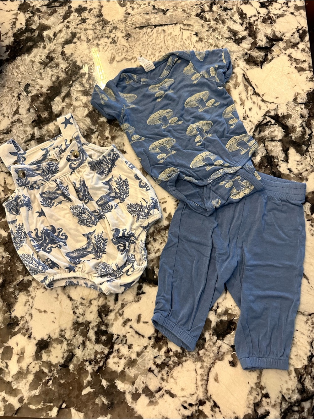 kate quinn bundle!!!!